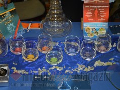 A Természetgyógyász Kiállítás volt a Kecskeméti Kulturális és Konferencia Központban