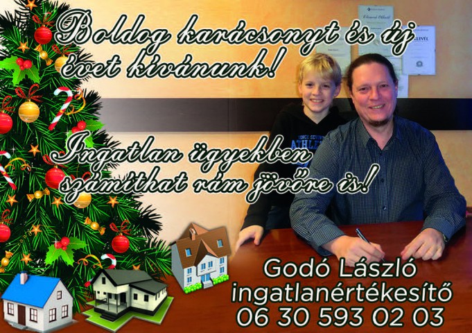 Godó László, ingatlanértékesítő