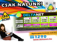 DELTANET