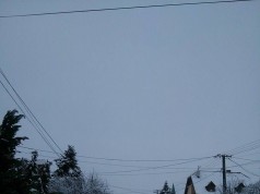 Friss csak nálunk lehozott képanyagokkal