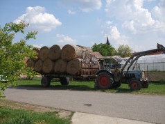 Vidékfejlesztési hivatal: lezárult az agrártámogatások kifizetése