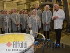 Speciális gyakornokprogramot indít a Fornetti Csoport