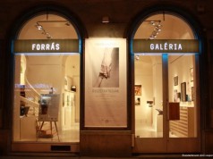 Sinko Szabina festőművész képeit állítja ki a Forrás Galéria