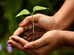 Országos természetismereti versenyt hirdet a Pro Vértes Közalapítvány