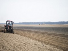 Magosz: nincs akadálya az újabb földárverésnek