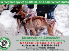 Ajánlja fel adója 1%-át