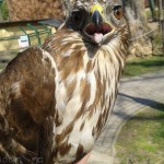 11998791_1075810632461880_977537864_n