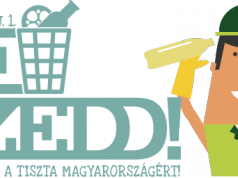 Szemétszedés Kecskeméten