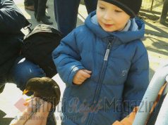 Tavasznyitó családi nap a Vadasparkban