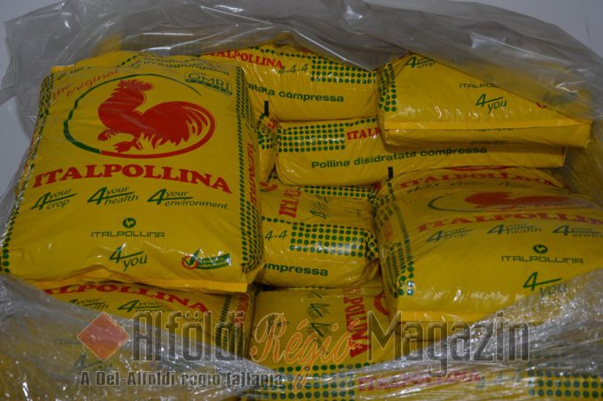 Sikeres szezonkezdet a Hírös Agráriánál