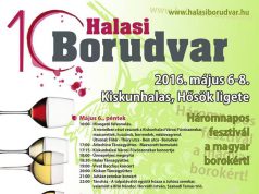Tizedik Halasi Borudvar