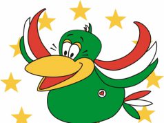 Fesztivál a fesztiválban: „A fiatalokat összeköti a zene”