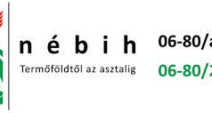 Nébih-felmérés: az illegális fakitermelés a legnagyobb probléma