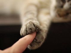 Bayer: globális megatrendek az élettudományok szakértőjétől