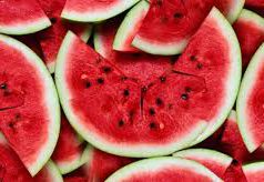 FruitVeB: nagyobb területen több dinnye terem, mint tavaly