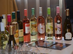 Átadásra kerültek a legjobb boroknak járó díjak