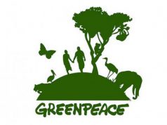 Greenpeace: a kínai városok egyharmadában nőtt a légszennyezés