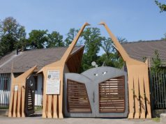 Vidám nyári estékre vár mindenkit a kecskeméti Vadaskert