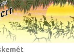 Felgyógyult állatok újra a szabadban!