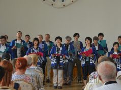 Japán Kulturális Napok Kecskeméten