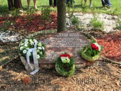 Emlékkövet állítottak a Katona József Téren