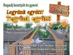 Legyünk és tegyünk együtt az önkéntesség világnapján