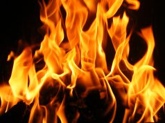 Huszonöt hektáron ég az aljnövényzet a csernobili zónában