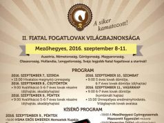 Ma délután 16.00 órakor lesz a II. Fiatal Fogatlovak világbajnokságának ünnepélyes megnyitója Mezőhegyesen