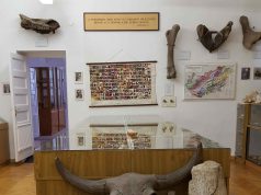 Kecskeméti Múzeumi Tour-Mix