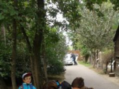 KRESZ-Szafari Kecskeméten