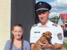 Megtalálták és visszaadták Bambit