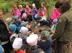 A hét, amikor együtt lélegezhetsz a természettel – Hamarosan kezdetét veszi az Erdők Hete rendezvénysorozat