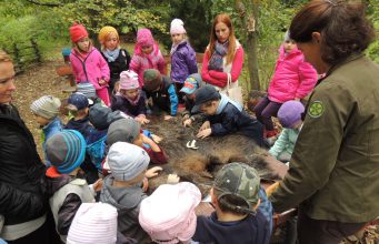 A hét, amikor együtt lélegezhetsz a természettel – Hamarosan kezdetét veszi az Erdők Hete rendezvénysorozat