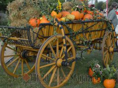 Kellemes hangulatban teltek hétvégén megrendezett a XII. Ballószögi Szüreti Napok