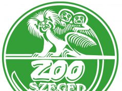 Kínai muntyákszarvas született a Szegedi Vadasparkban