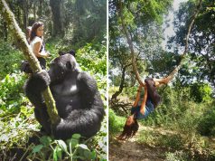 Rotary előadás: „A hegyi gorillák nyomában”