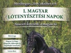 I. Magyar Lótenyésztési Napok október 6- 8. között Mezőhegyesen!