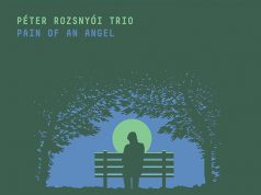 Rozsnyói Péter Trió: Pain of an Angel