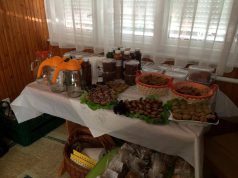 Újabb eredményes kitelepülésnek lehettek szemtanúi a kecskemétiek