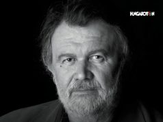 Móricz Zsigmond: Novellák — Hangoskönyv Csuja Imre előadásában
