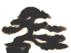 Aomori baráti kör meghívója