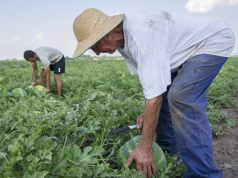 Előadás a kistermelők jogállásáról