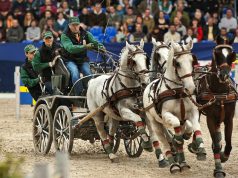 Három világbajnok, köztük két magyar a budapesti világkupán