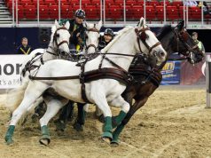 London: Második lett Dobrovitz az 1. versenyszámban