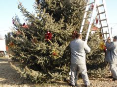 Adventi készülődés