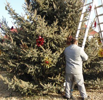 Adventi készülődés