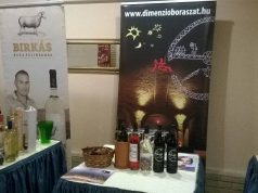 Kecskemét adott otthont a Magyar Sommelier Bajnokság Elődöntőjének