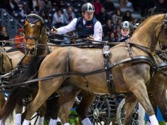 Bordeaux: Utolsó versenyszám a döntő előtt