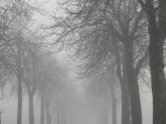 Figyelmeztetést adott ki Bács-Kiskun megyére az OMSZ