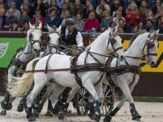 Dobrovitz már készül a göteborgi döntőre